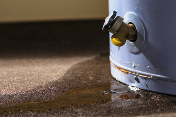 Best Water damage restoration near me  in Pearl Beach, MI