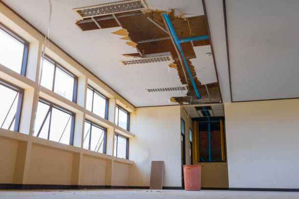 Best Emergency water damage restoration  in Pearl Beach, MI