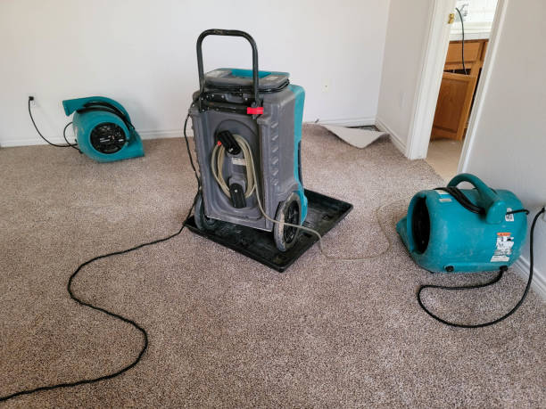 Best Sewage cleanup and water damage restoration  in Pearl Beach, MI