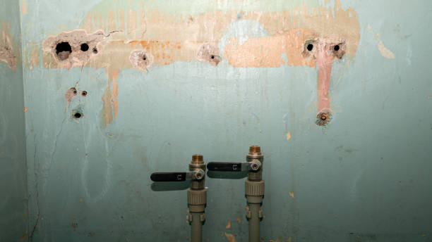 Best Basement water damage restoration  in Pearl Beach, MI