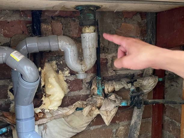 Best Commercial water damage restoration  in Pearl Beach, MI