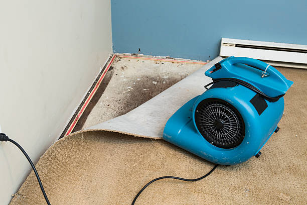 Best Water damage restoration near me  in Pearl Beach, MI