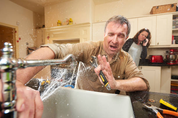 Best Water damage cleanup near me  in Pearl Beach, MI